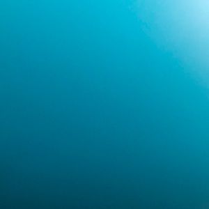 Meet your Posher, Summer